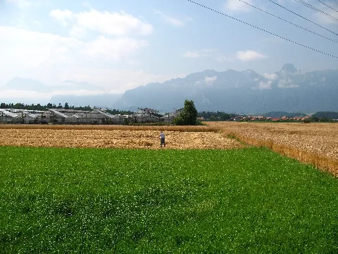 4375 Between Thun And Bern