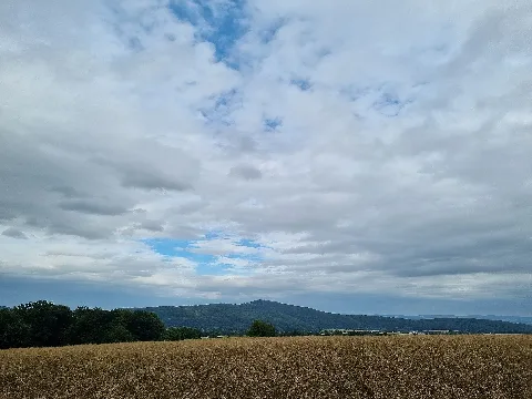Planetenweg zwischen Bad Zwesten und Oberurff-Schiffelborn, Blick vom Waldrand zum Altenberg, vor dem Waldrand am Altenberg entlang fließt die Schwalm