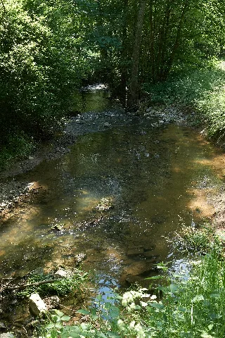 4866 Nsg Buchenbach
