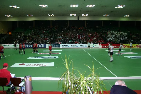 50. Deutsche Hallenhockey Meisterschaften, Halbfinalspiel Damen, Rhein Ruhr Halle Duisburg, 2011