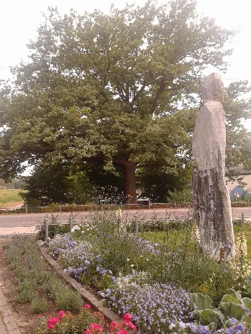 55218 Quercus 2