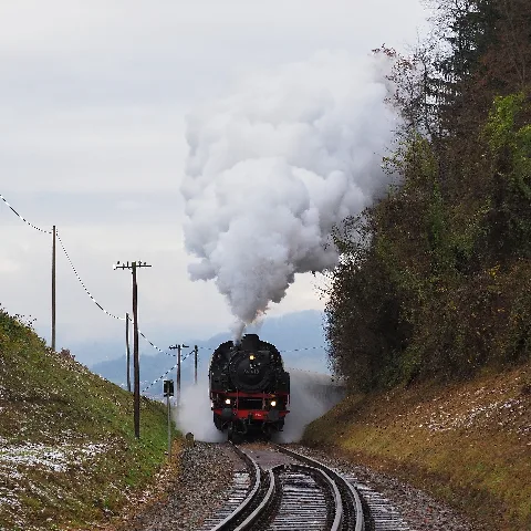 64 419 Wieslauftalbahn 02