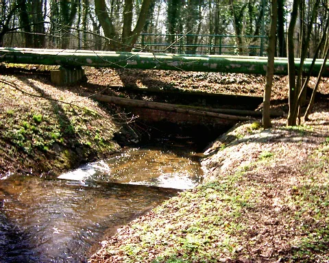 74Oberhalbpölnitzweg