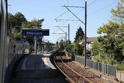 8 Belp Steinbach 120818