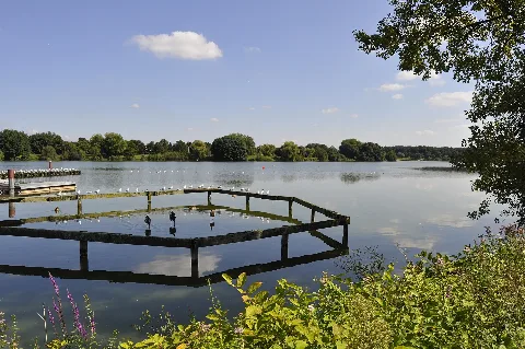 A Part Of Bocholt Aasee Panoramio