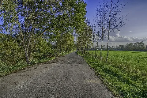 A Part Of Bottrop Panoramio