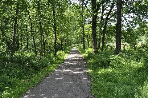 A Part Of Haan Hilden Panoramio
