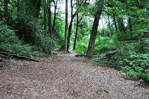 A Part Of Haan Panoramio (28)