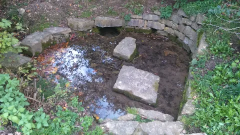 Aalbachquelle