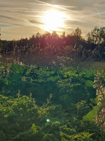 Abendstimmung In Dem Landschaftsschutzgebiet Des Torferlebnispfads Bremental In Jettingen Scheppach