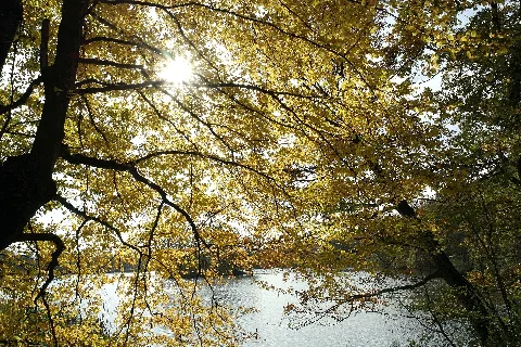 Abendstimmung Kreuzteich Riddagshausen 03
