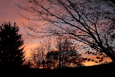 Abendstimmung Steinen Panoramio