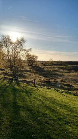 Abendstimmung Weißenhäuser Brök