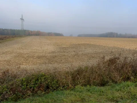 Abgeerntetes Feld In Der Geltinger Au Geo.hlipp.de 22842