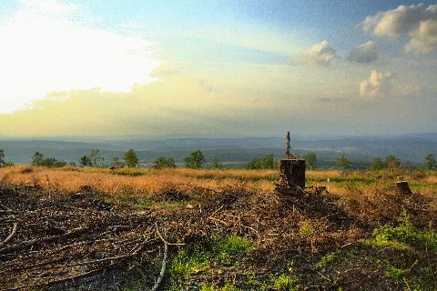 Above Wilnsdorf, View To The North West Panoramio