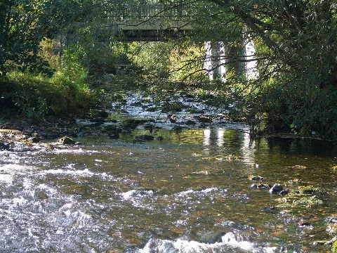 Abzuchtmündung1