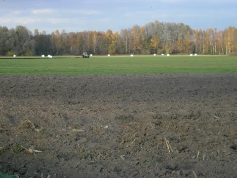 Acker Bei Wifling Geo.hlipp.de 14342