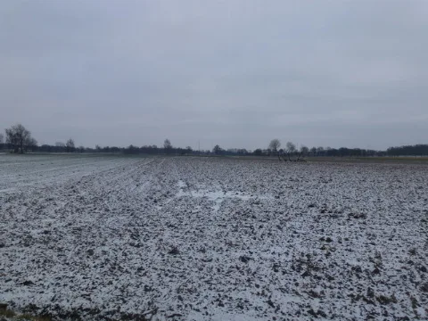 Across The Fields Geo.hlipp.de 31928