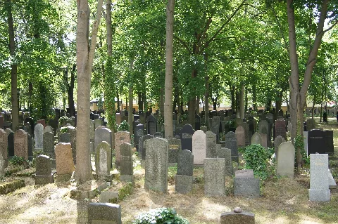 Adass Jisroel Friedhof01597