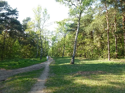 Adlershof Birkenweg
