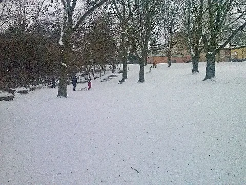 Adlerwiese In Frankfurt Praunheim 3