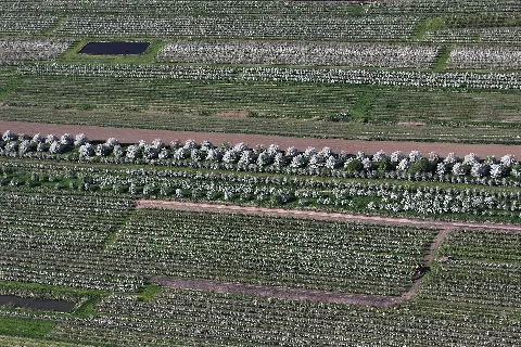 Aerial Photograph 8355 Dxo