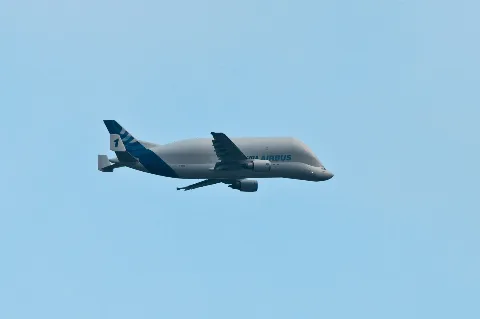 Airbus Beluga 1 F Gsta 03