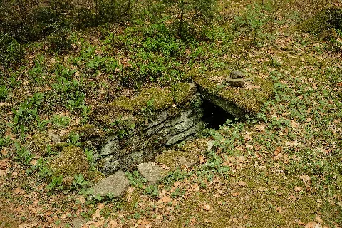 Alemannengräber (Obereschach) 0822
