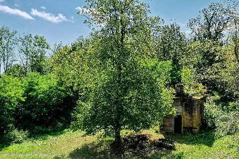 Alexanderturm (Großer Kahlenberg)