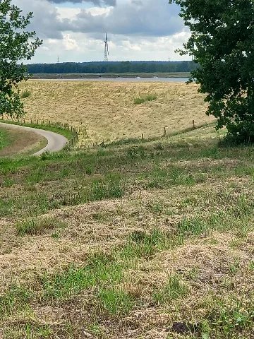 Alfsee Wiehengebirge