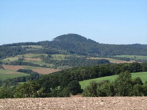 Alheimer