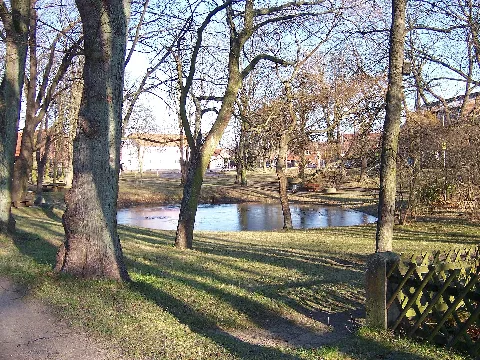 Aligse Teich1