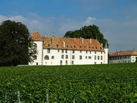 Allaman, Château D'allaman, 14 03 2013 05