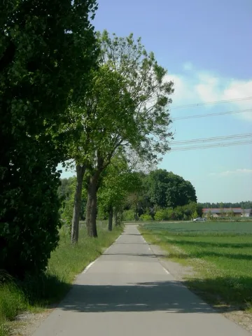 Allee Bei Markt Schwaben Geo.hlipp.de 25411