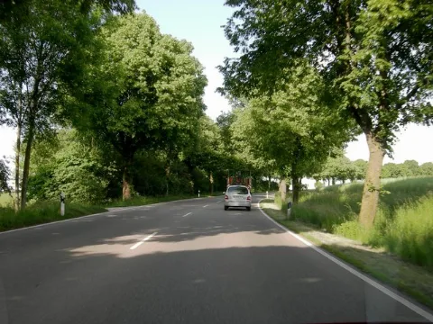 Allee Bei Niederneuching Geo.hlipp.de 25433