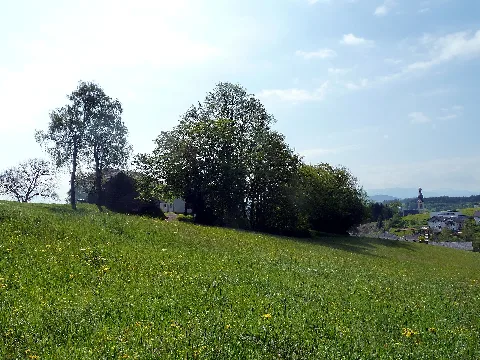 Allee In Maurachen 1