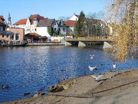 Aller In Celle, Blick Vom Ufer Der Dammaschwiese Bei Der Pfennigbrücke Richtung Altstadt, Vogelsammelplatz