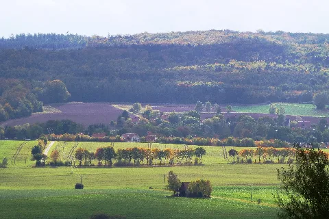 Allerberg