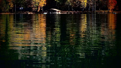 Alpsee (15684982342) (2)