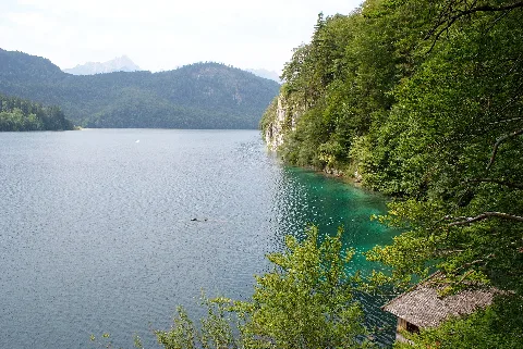 Alpsee Panoramio