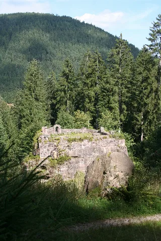 Alsaceblforest 20090812 2205