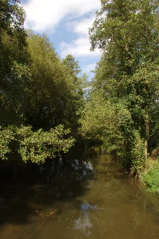 Alsfeld Heidelbach Lpa 378405 Auenverbund Schwalm Schwalm N