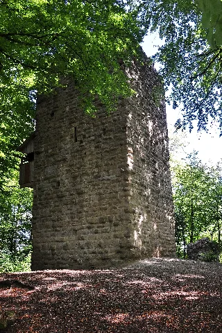 Alt Wülflingen, Burgruine In Winterthur 2011 09 13 14 40 26 Shiftn