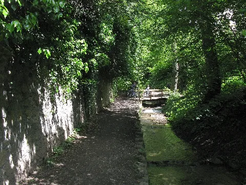 Altbachtal 2