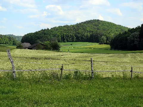 Altberg 2012 05 13 15 12 07 (P7000)