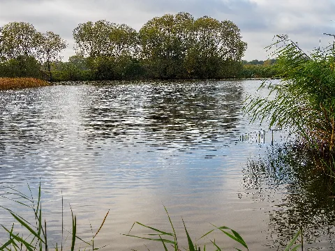 Alte Aller In Etelsen( Steinfeld) 2022