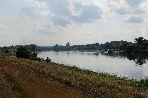 Alte Oder Near Schwedt In Np Unteres Odertal 2021 07 10 01