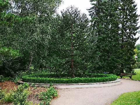 Alte Schlangengrube