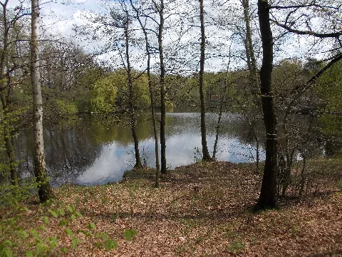 Altenbachtonteich