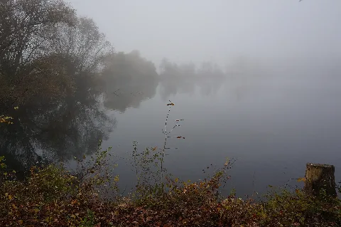 Alter Baggersee Ottenheim